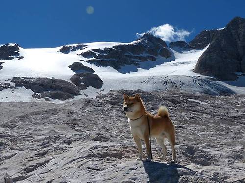 俱乐部运营未有效连接本地教育资源，俱乐部运营团队的作用