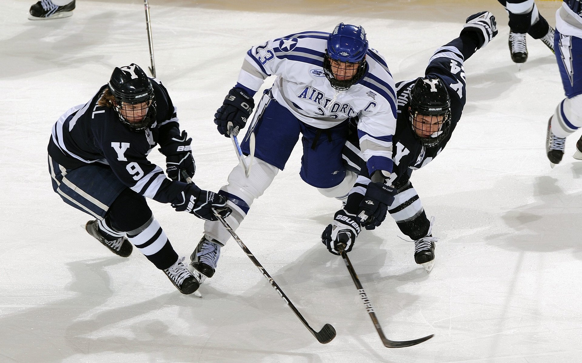 体育未来发展趋势受到关注，未来体育的发展趋势将进一步国际化